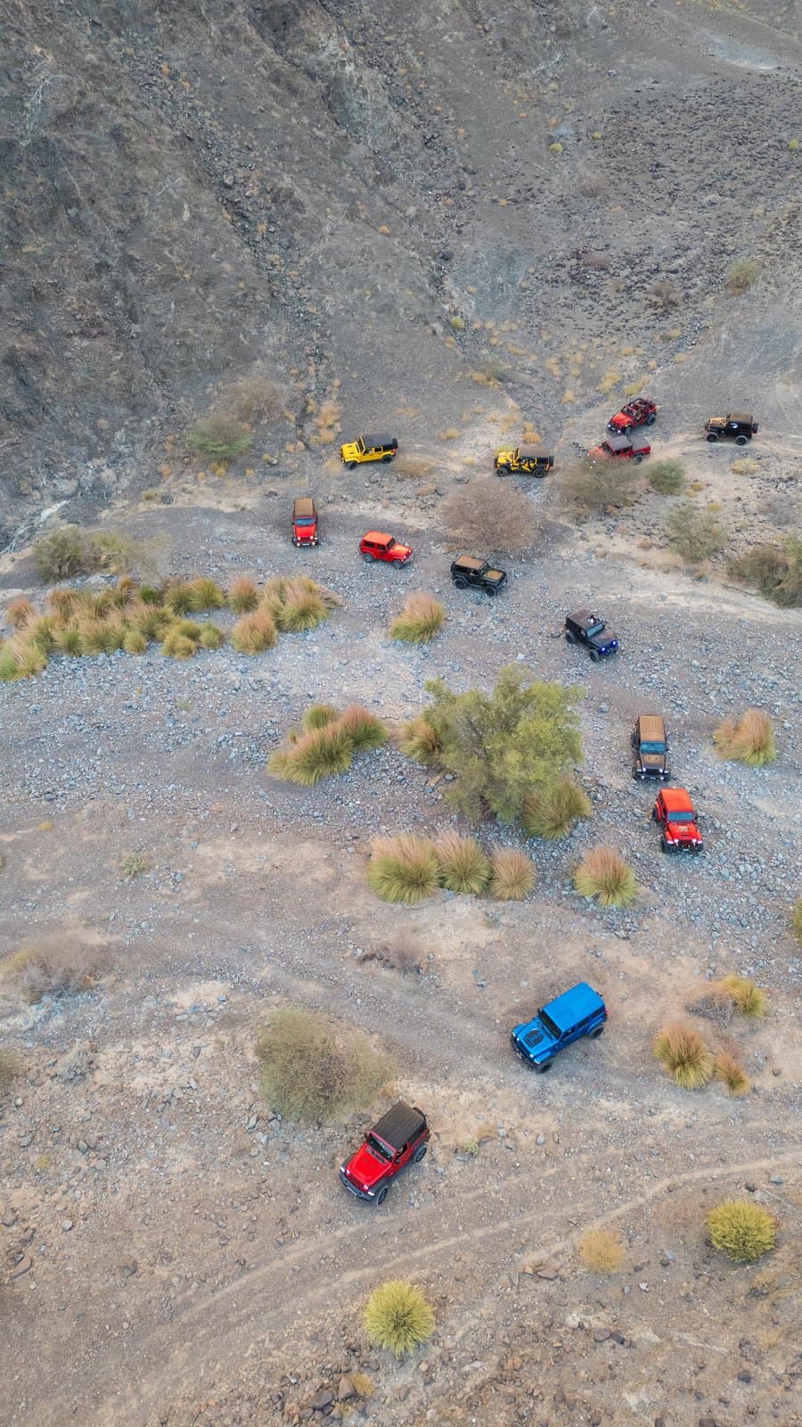 Aerial view of Jeeps spread across the sand