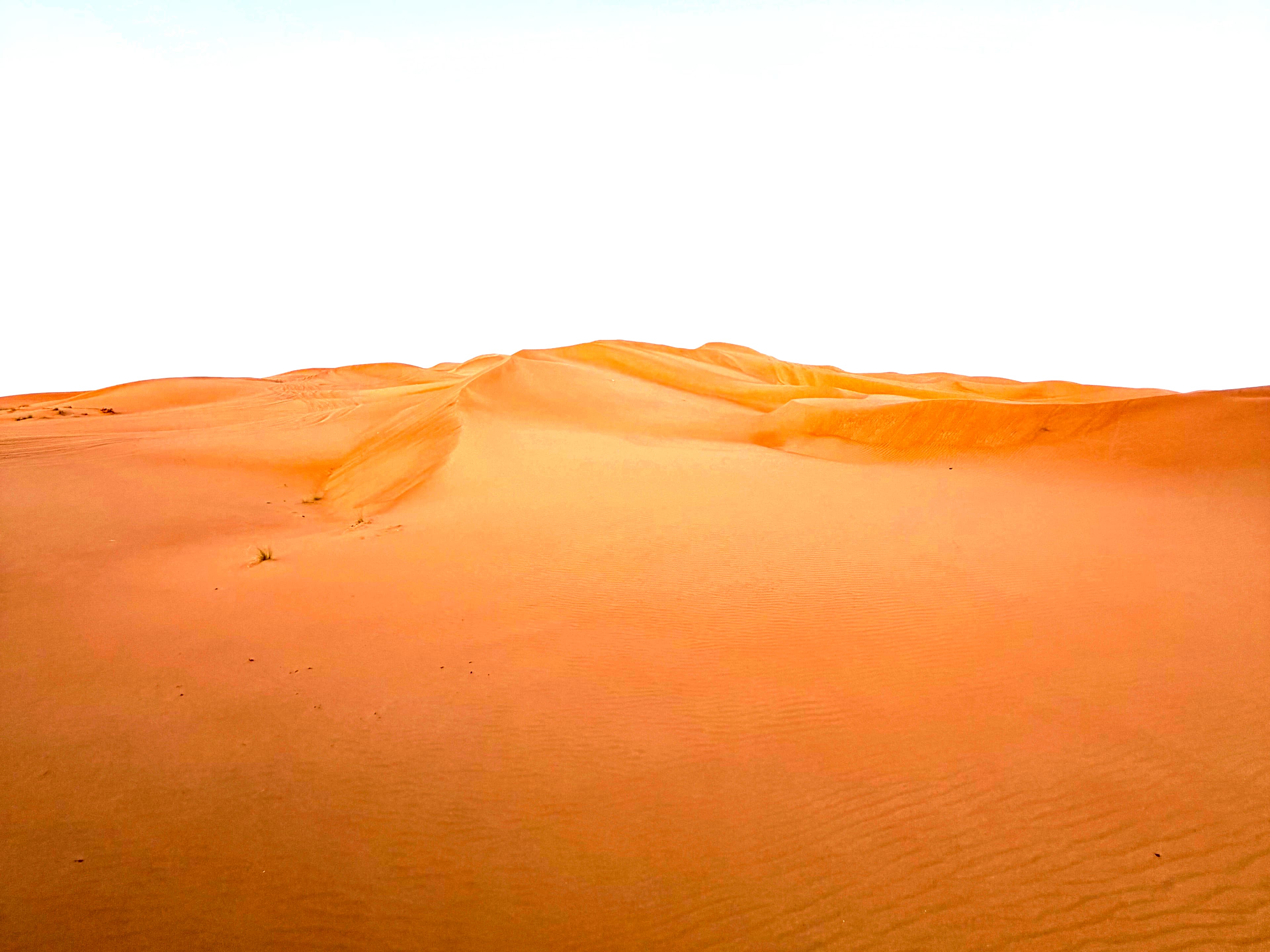 Tyre tracks running across empty dunes at dusk